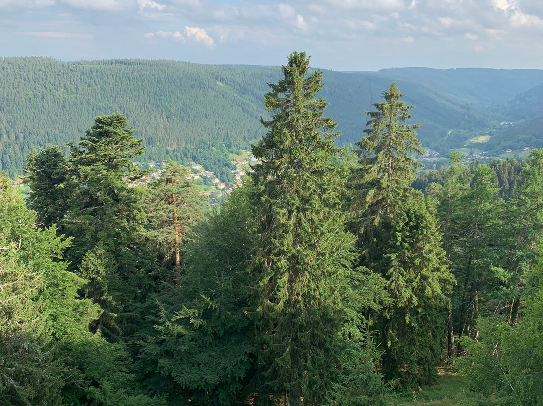 Sommerberghotel