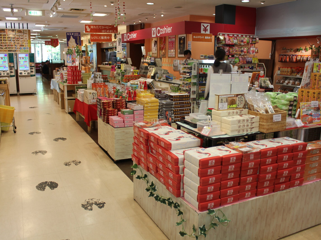 Aganogawa Service Area Inbound-阿贺町必去景点