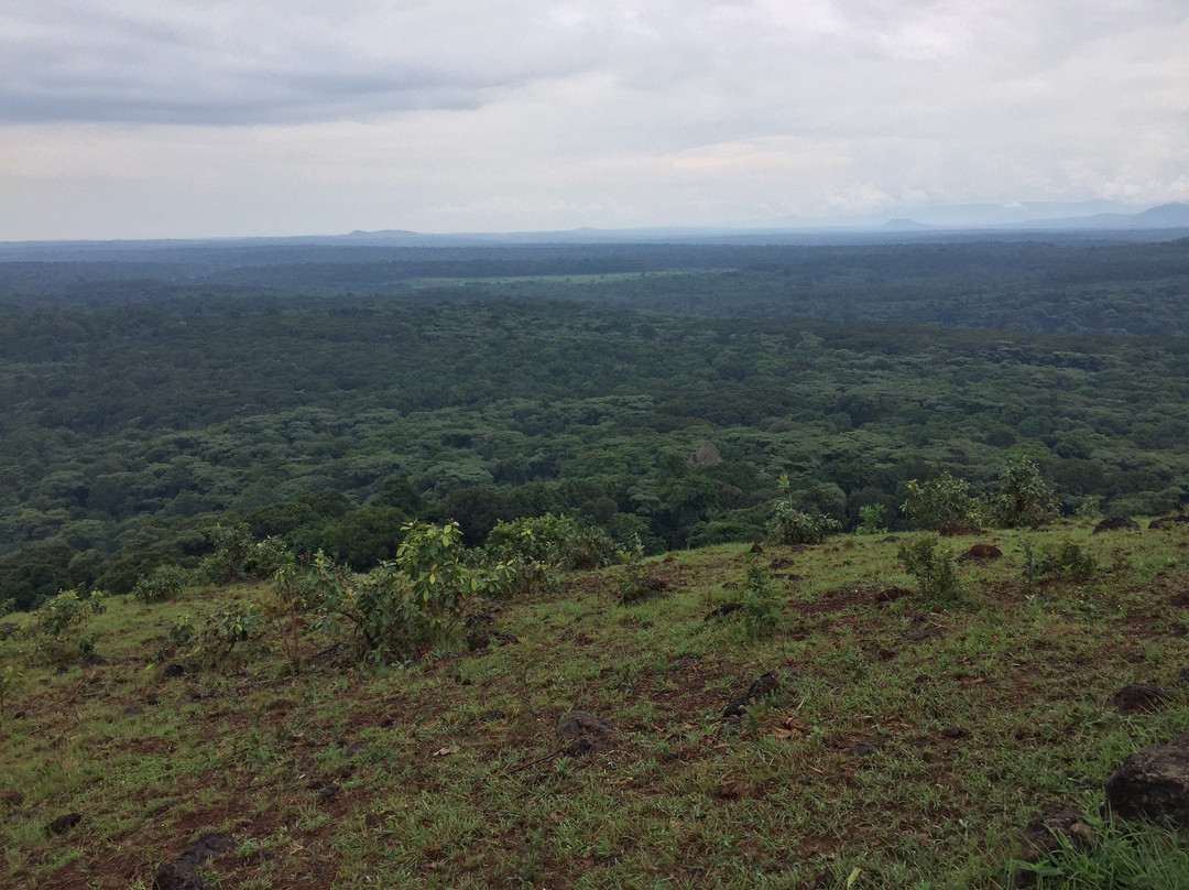 Kakamega Forest National Reserve景点图片