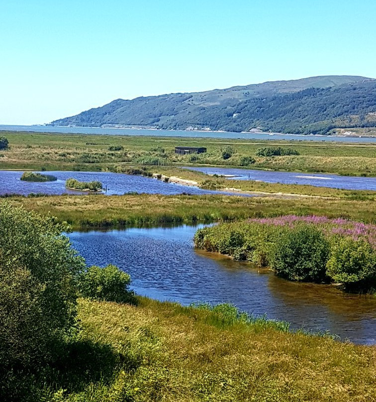 Ynys Hir Wildlife Reserve景点图片