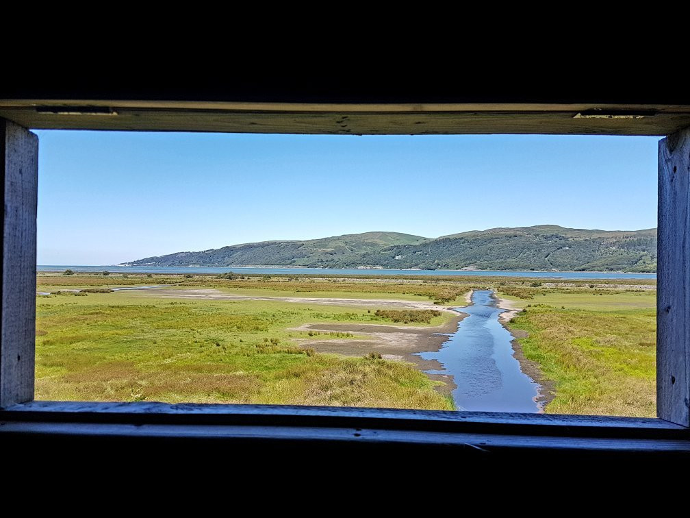 Ynys Hir Wildlife Reserve景点图片
