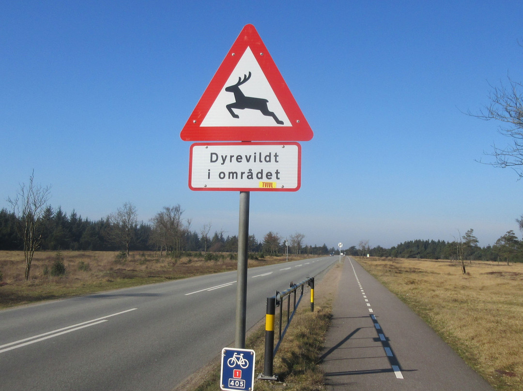 Krondyrsrudlen-瓦德必去景点