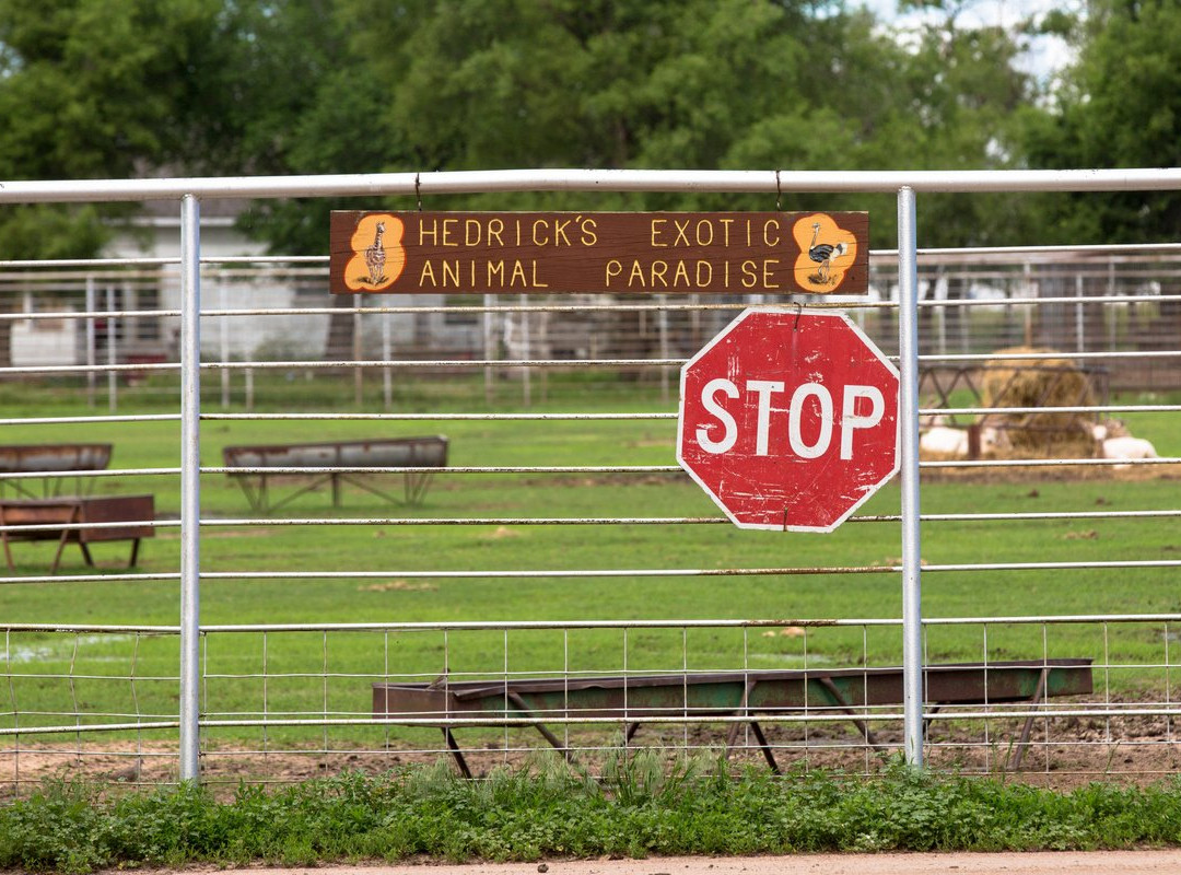 Hedrick's Exotic Animal Farm-Nickerson必去景点