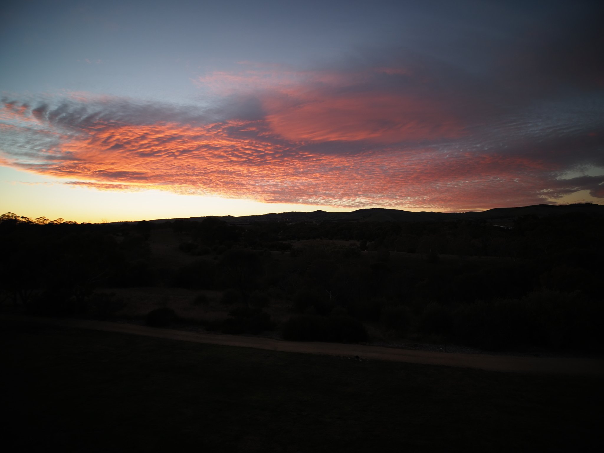 Novotel Barossa Valley Resort-酒店景观