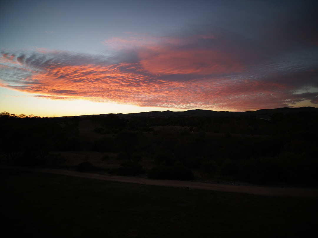 巴罗莎谷诺富特度假酒店主图
