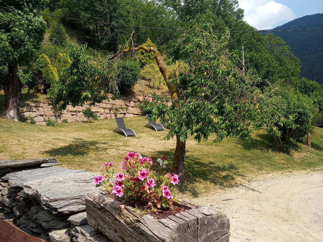 Mas La Casanova主图