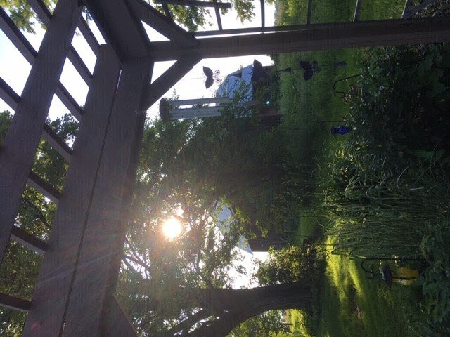 A Stone's Throw Bed And Breakfast主图