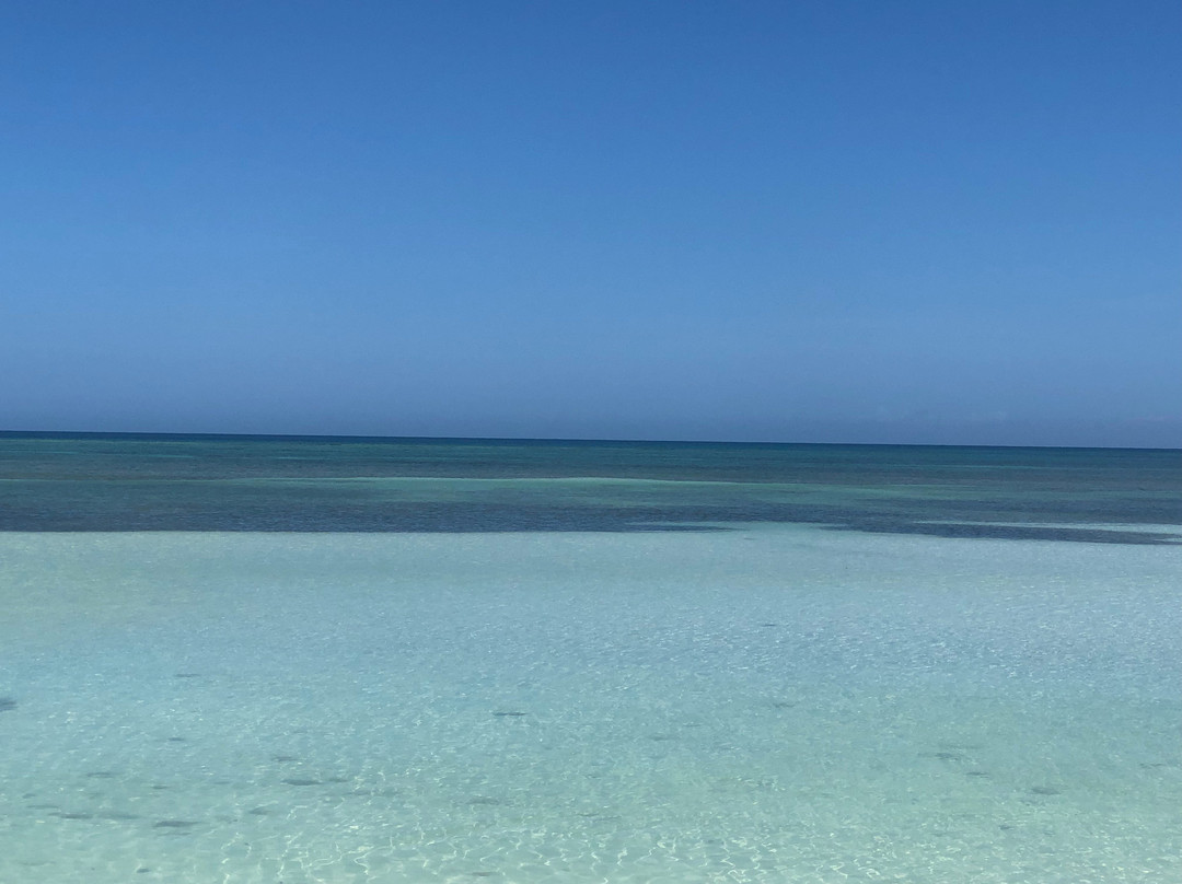 Villa Alfonsina主图