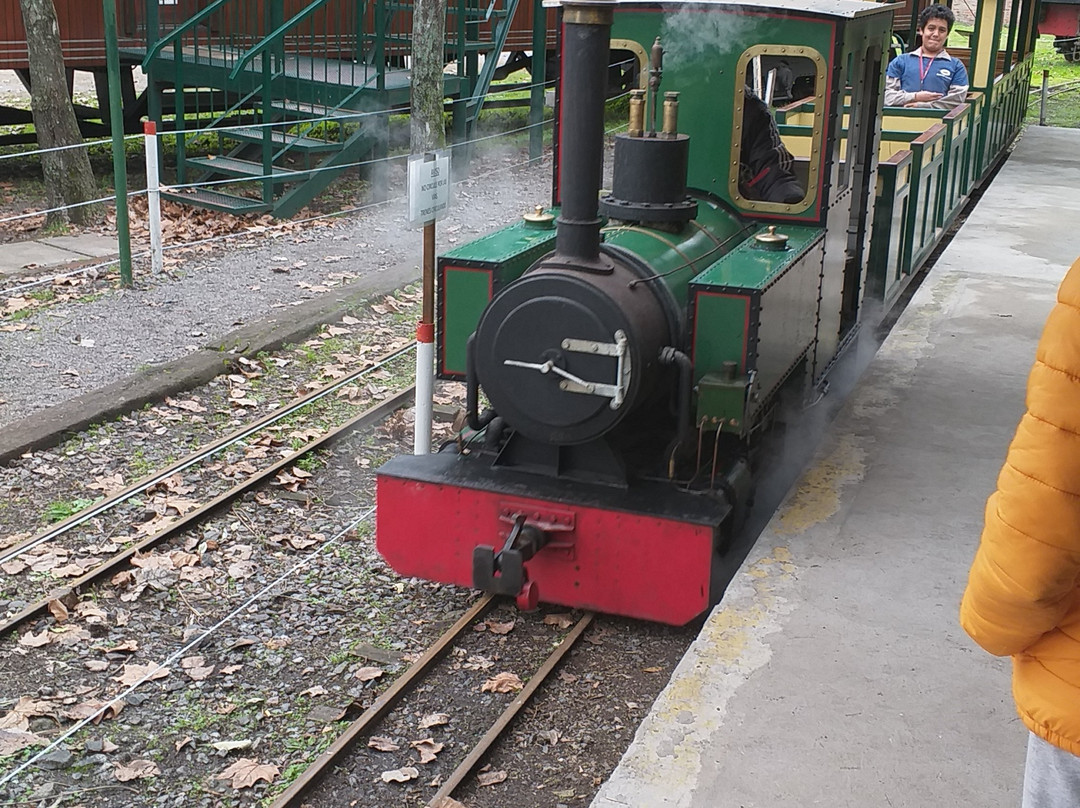 Ferroclub argentino-Remedios de Escalada必去景点