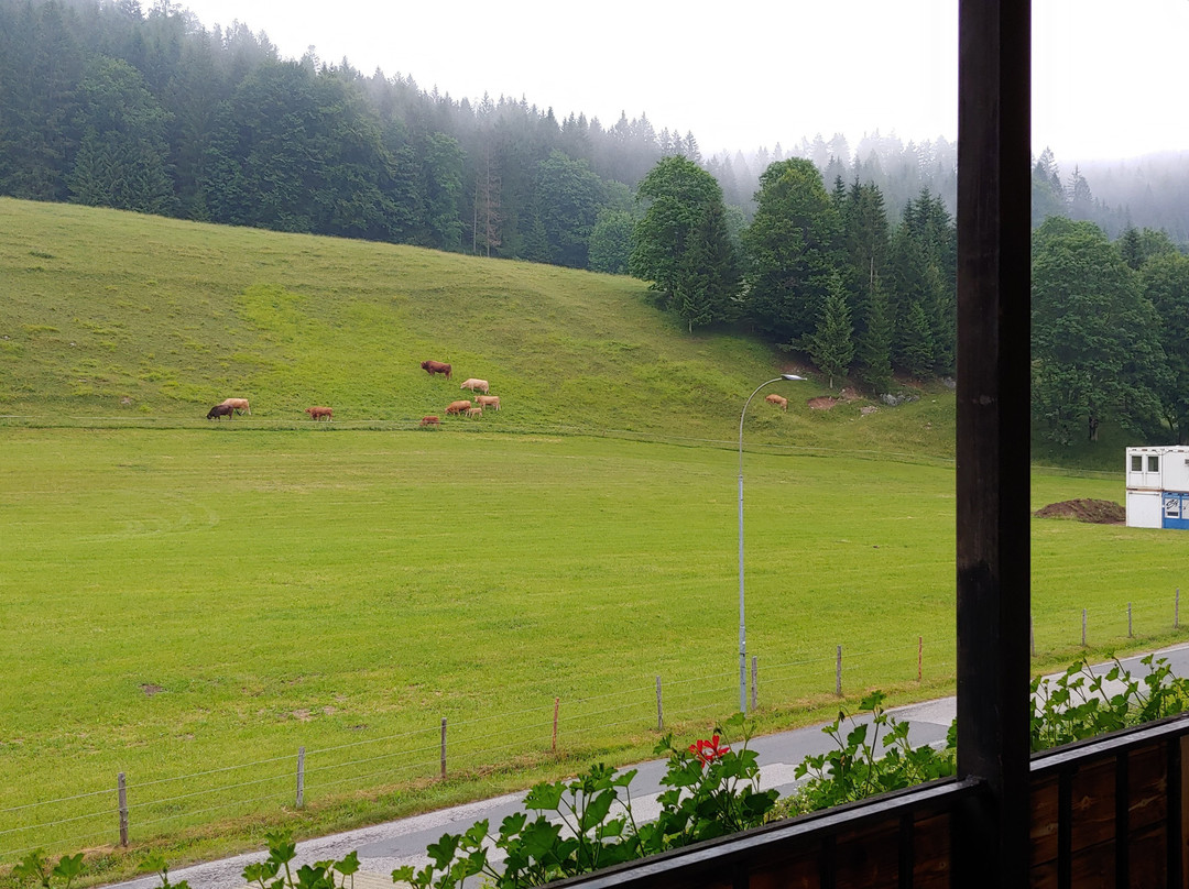 Volenter Gastehaus主图