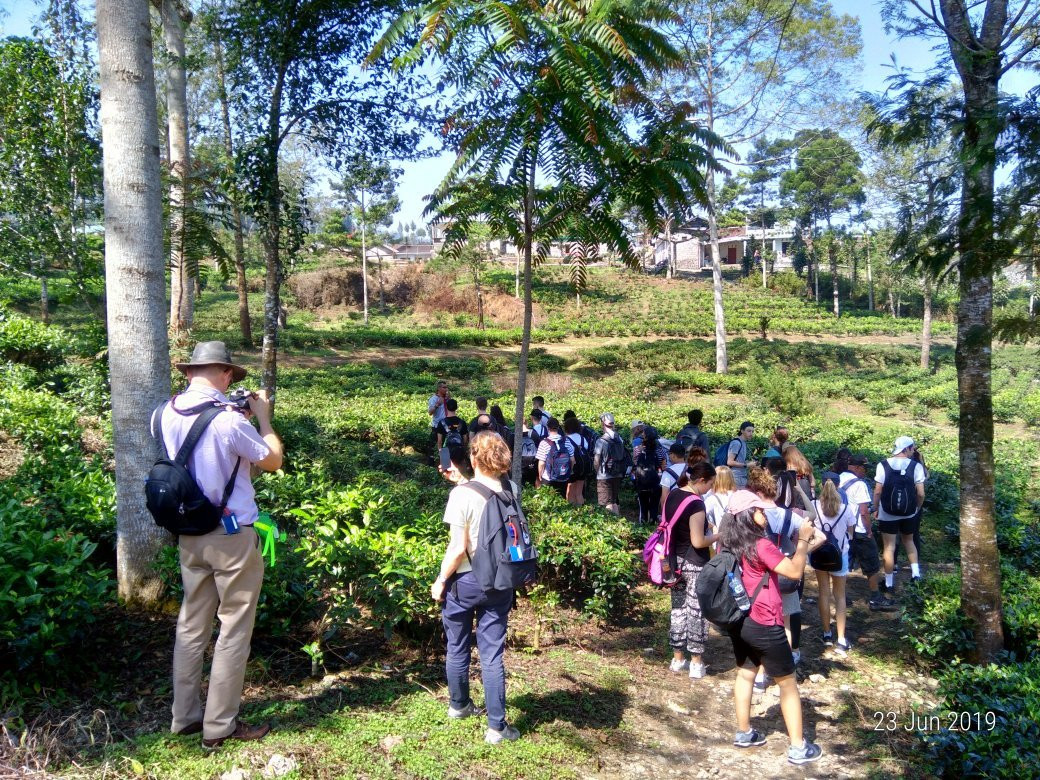 Agrowisata Tambi景点图片