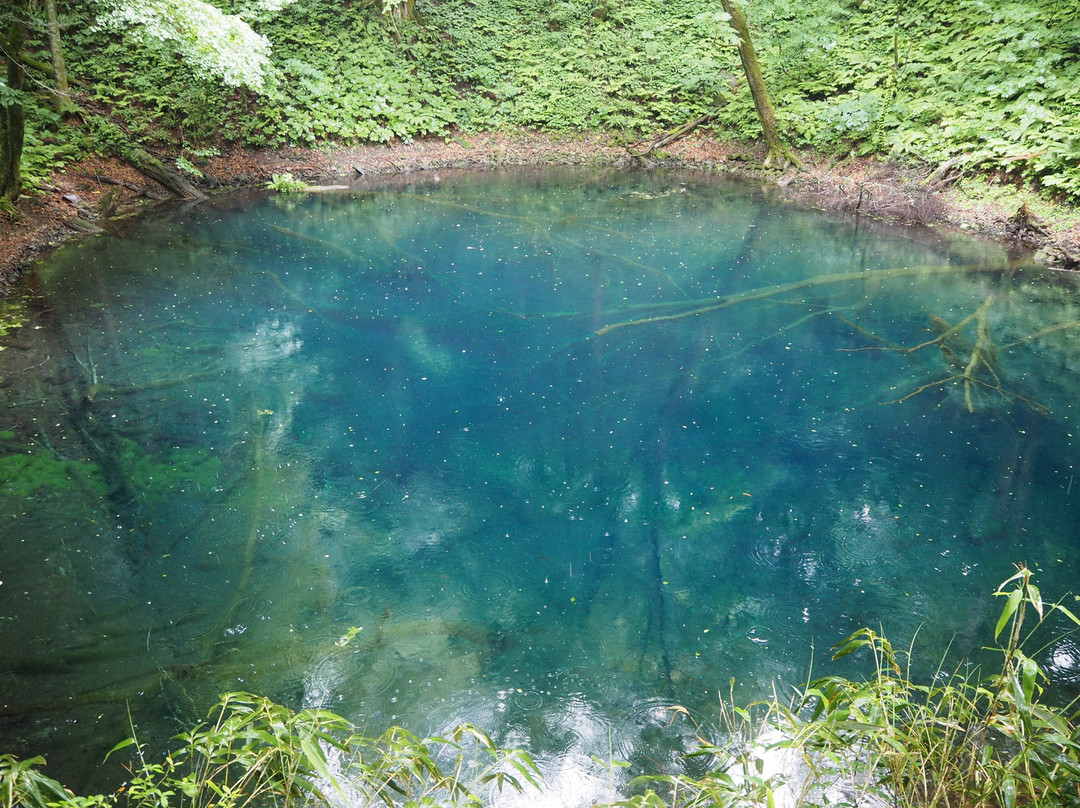 Blue Pond景点图片