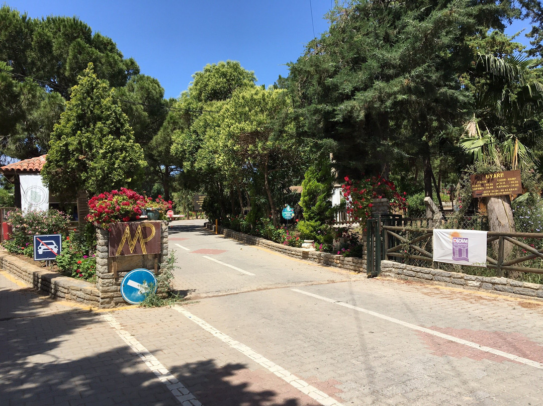 Tavsanburnu Orman Kampı-迪迪姆必去景点