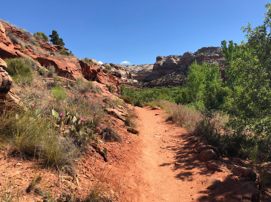 Lower Calf Creek Falls景点图片