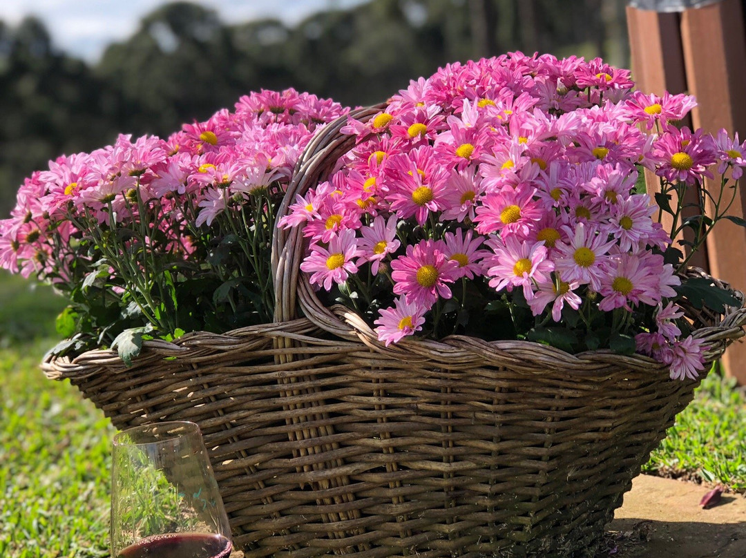 Vinicola Villaggio Grando-Agua Doce必去景点