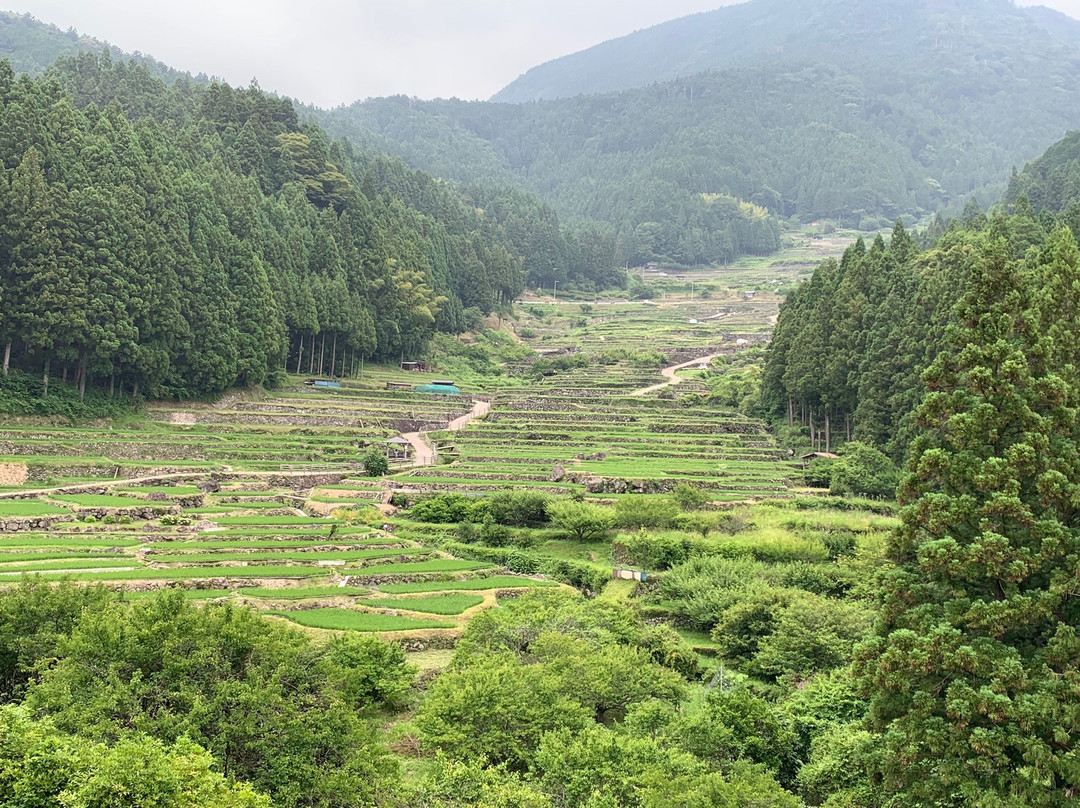 Yotsuya no Semmaida景点图片