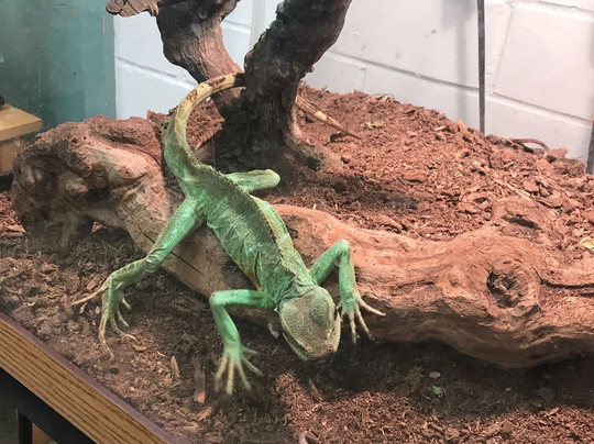 San Angelo Nature Center-圣安吉洛必去景点