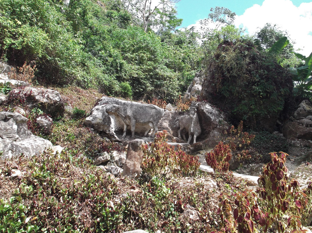 Zoologico de Piedra景点图片