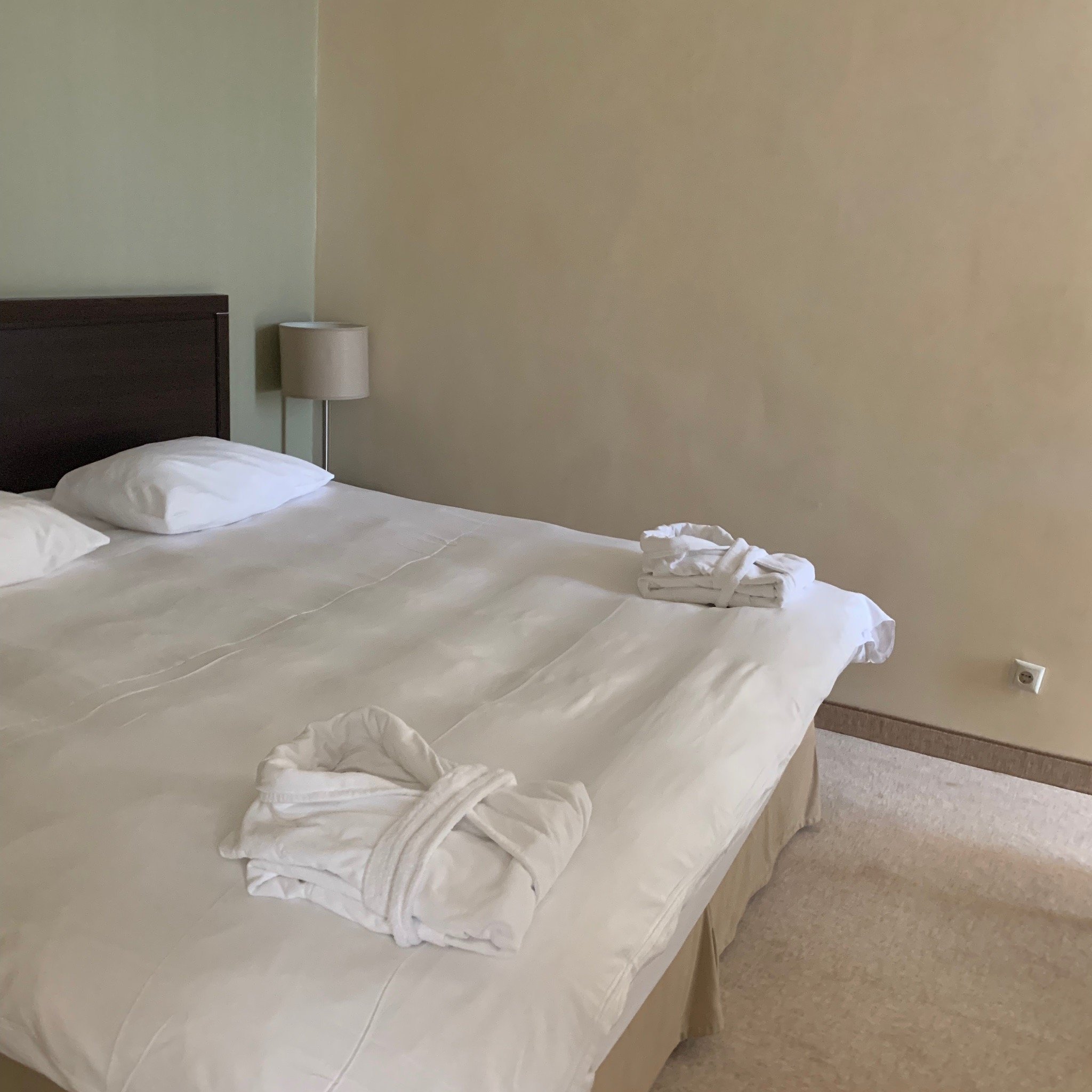 Adler Hotel & SPA-官方