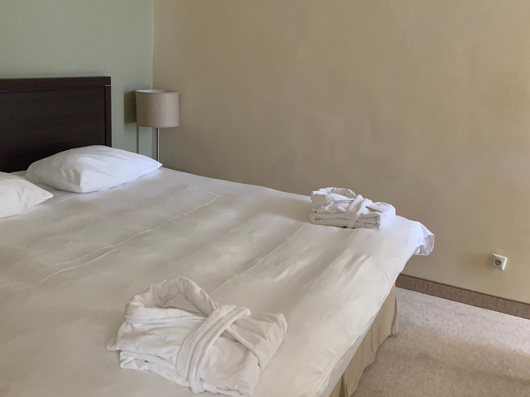 Adler Hotel & SPA主图