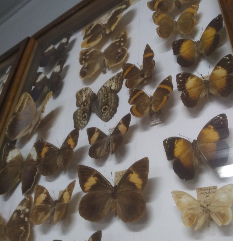 Museu de Ciencias Naturais de Guarapuava景点图片