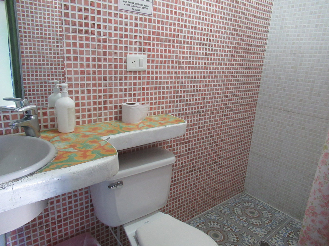 La Maison Violette主图