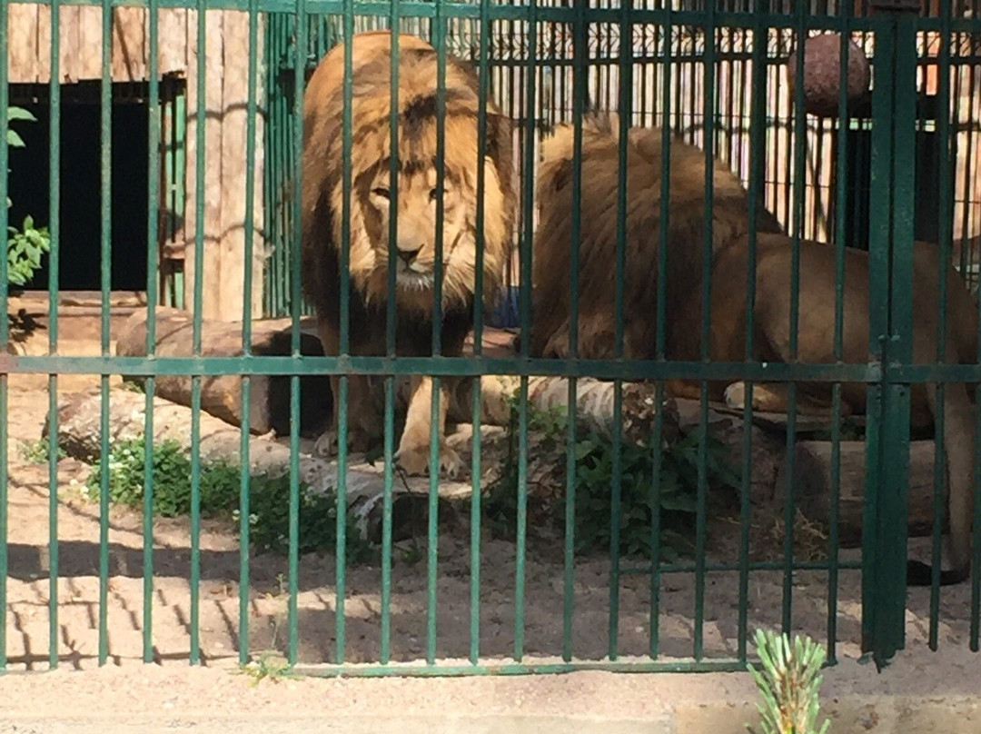 Lietuvos Zoologijos Sodas景点图片