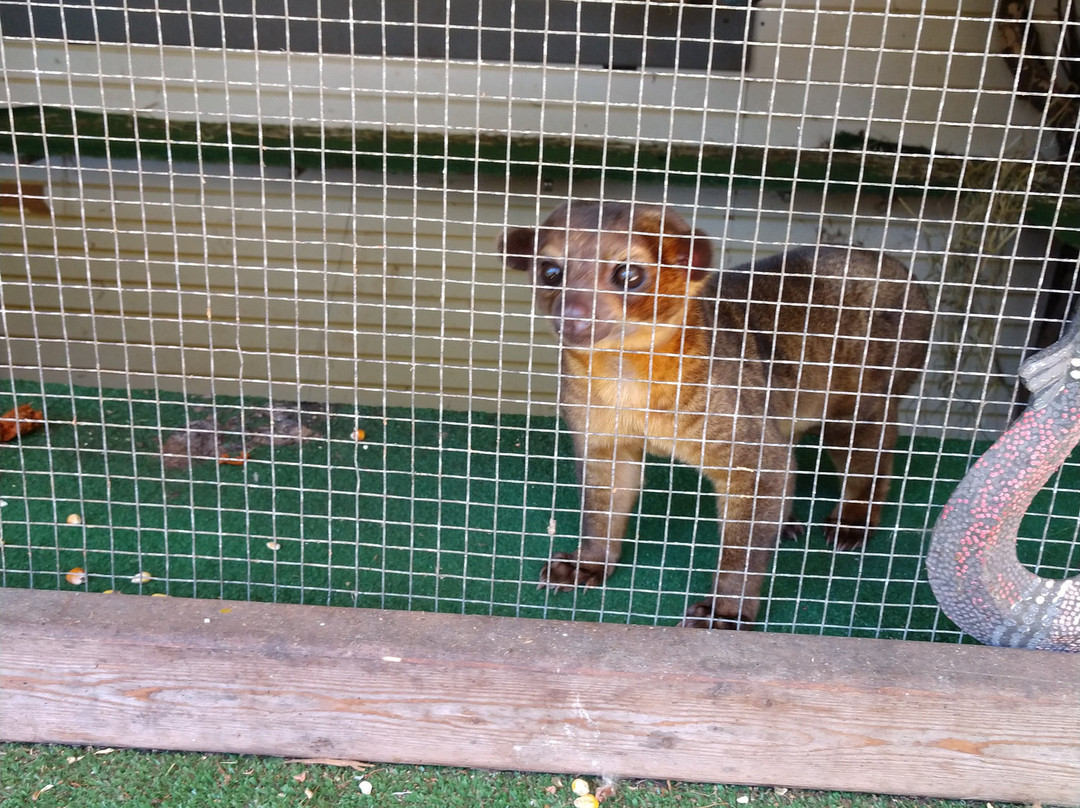 Bailiwick Animal Park-Catskill必去景点