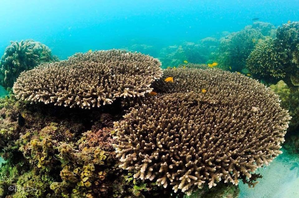 Smugglers Beach Club主图