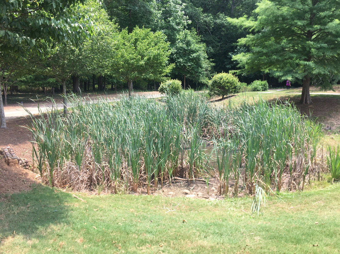 Rock Mill Park-阿尔法利塔必去景点