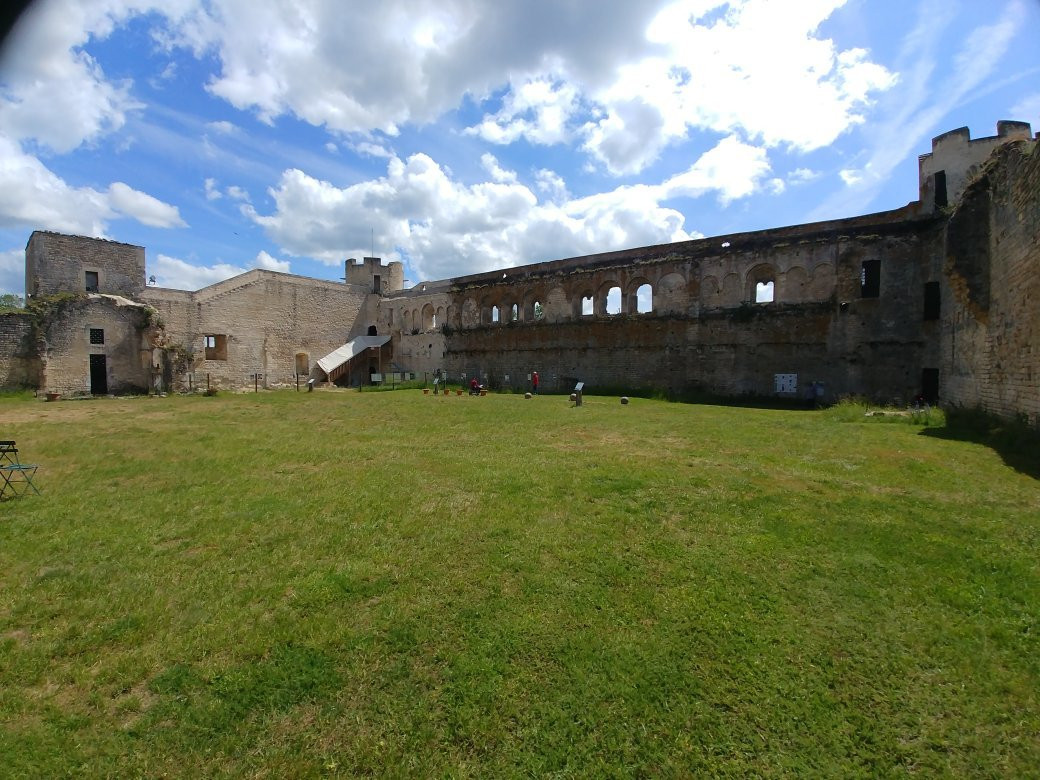 Château de Druyes les Belles Fontaines景点图片