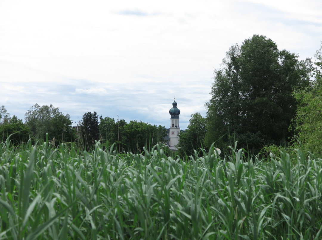 Obertrum am See旅游攻略图片
