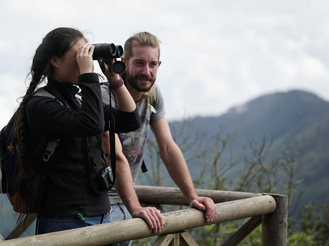 Voyages Colombie Sur Mesure-麦德林必去景点