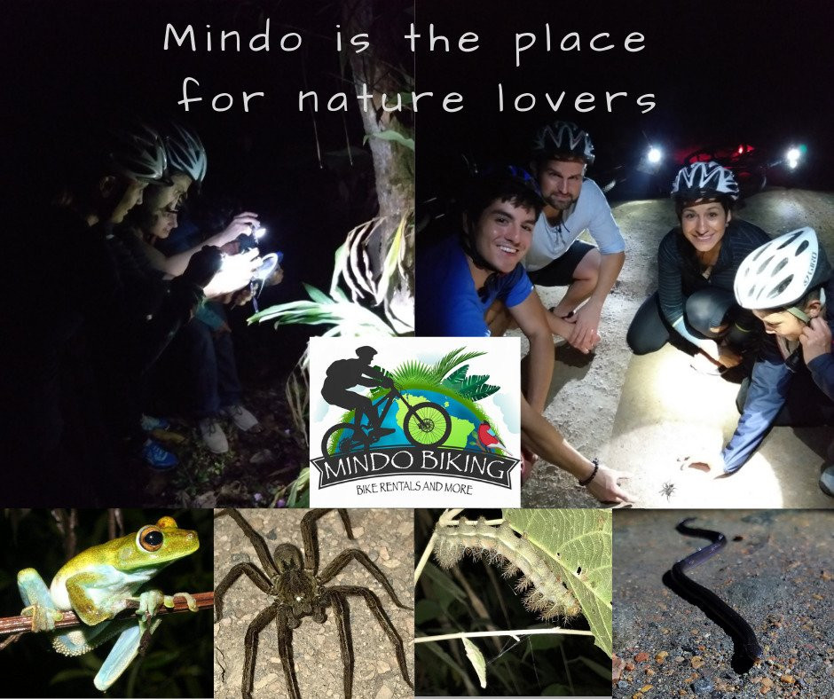 Mindo Biking-明多必去景点