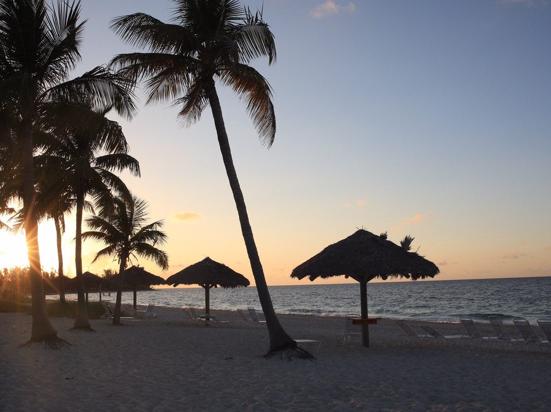 弗拉明戈湾和滨海酒店主图