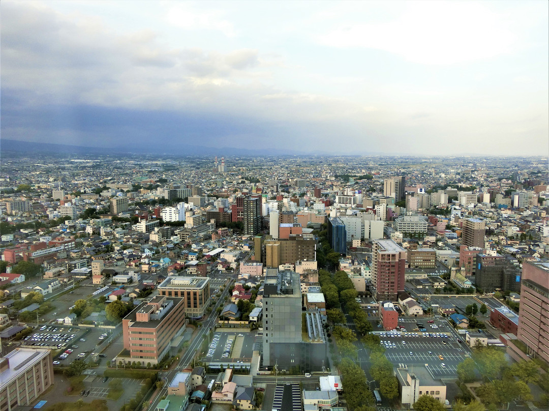 Gumma Prefectural Office Building Observation Deck景点图片