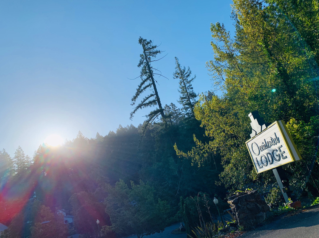 The Occidental Lodge主图