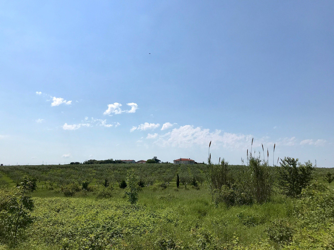 Farma Jola Poljoprivredni Obrt-萨乌德里亚必去景点