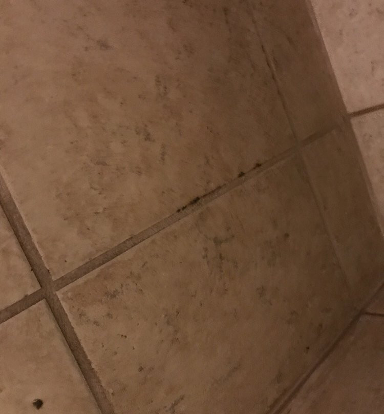 Knights Inn Bridgeport/Frankenmuth主图