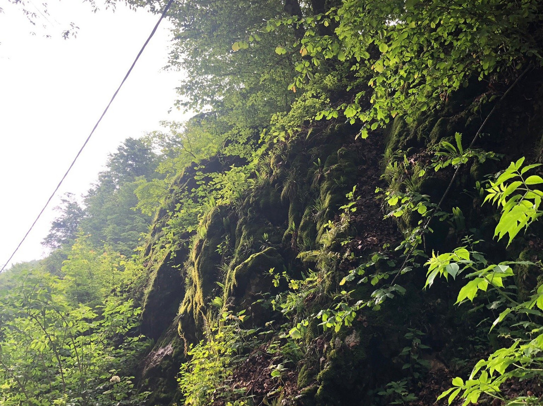 Meziad Cave-Meziad必去景点