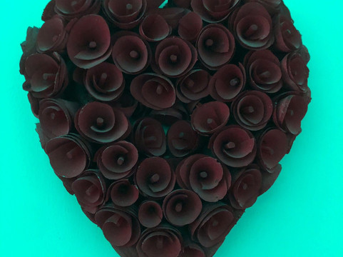 Clara Lodge Guesthouse主图