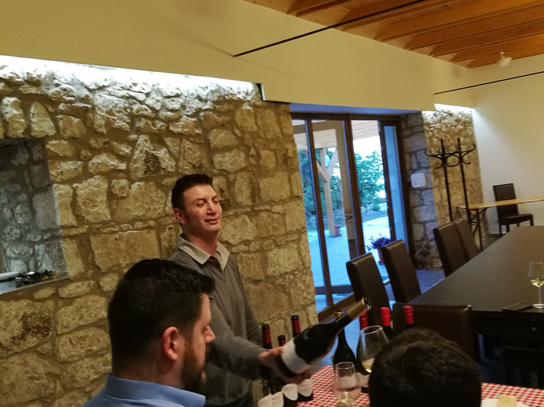 Arvay Family Winery景点图片