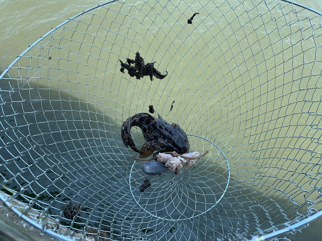 Clam Creek Picnic Area-吉柯岛必去景点