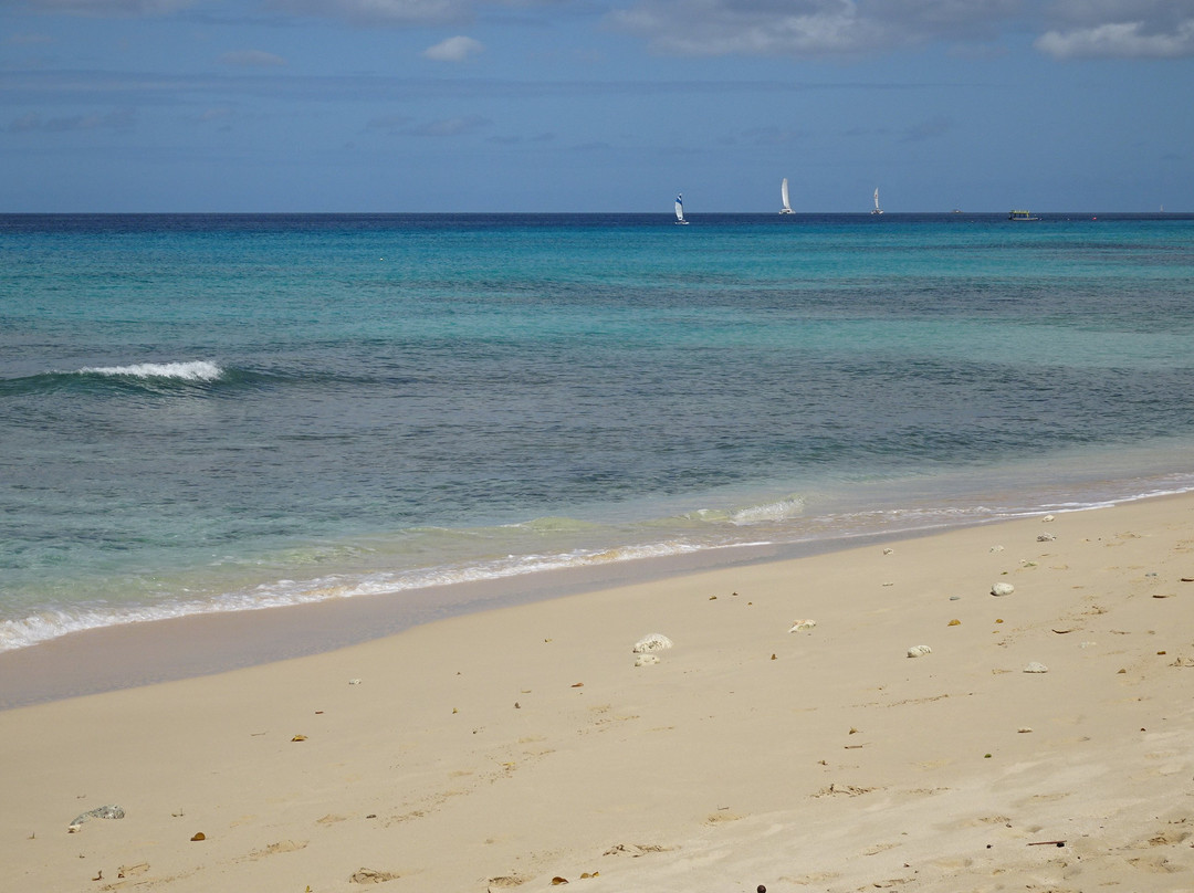 Gibbs Beach-Saint Peter Parish必去景点