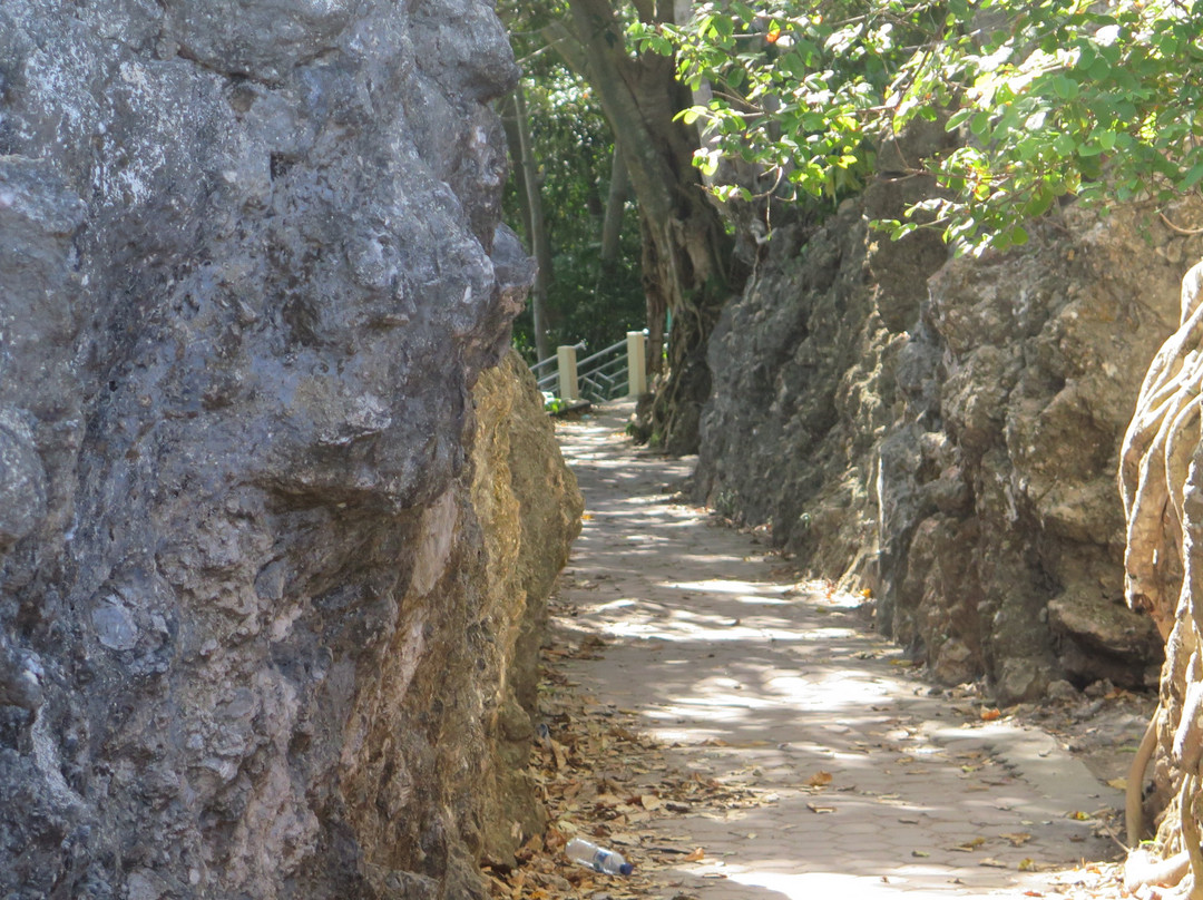 Japan Bunker-韦岛必去景点