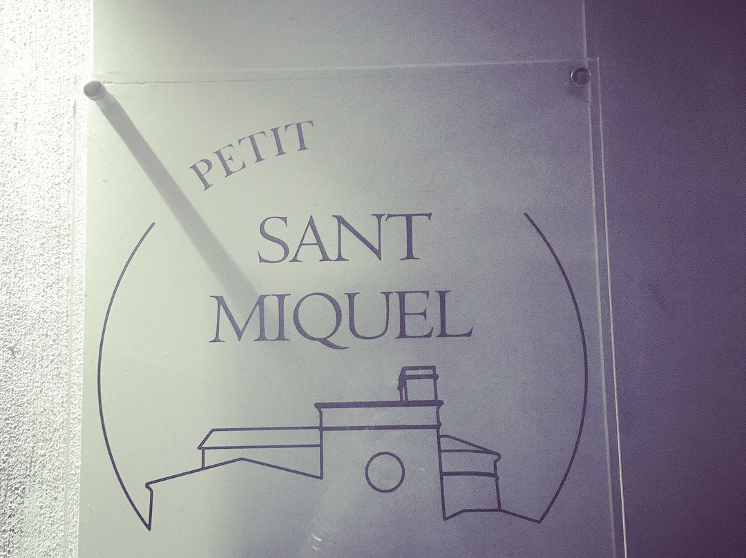 Petit Hotel Sant Miquel主图