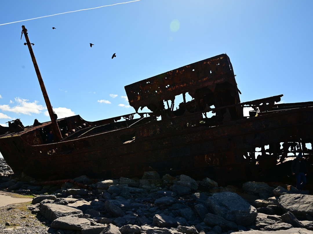 Plassey Wreck景点图片