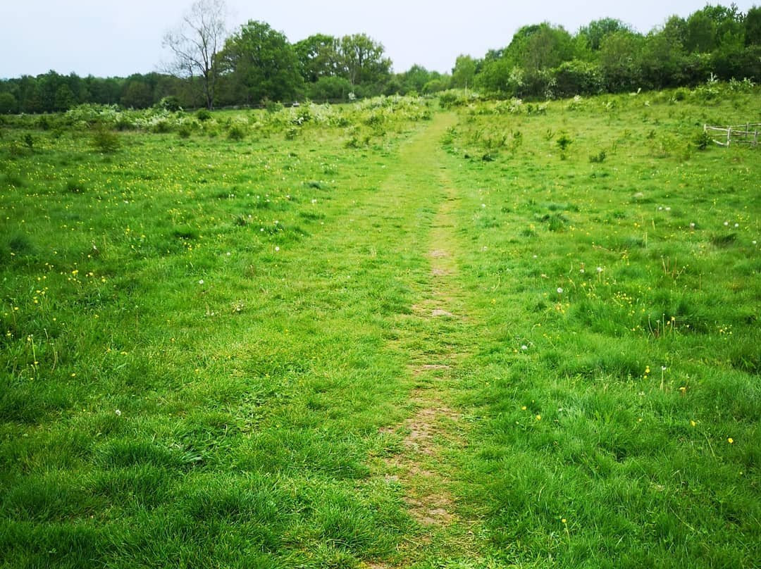 Home Farm Woodland Trail景点图片