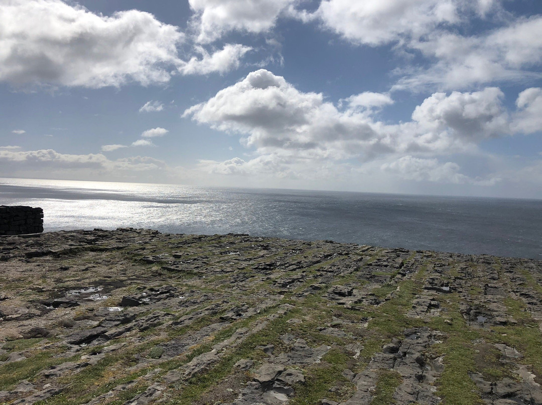 Midway Ireland Tours-Portlaoise必去景点