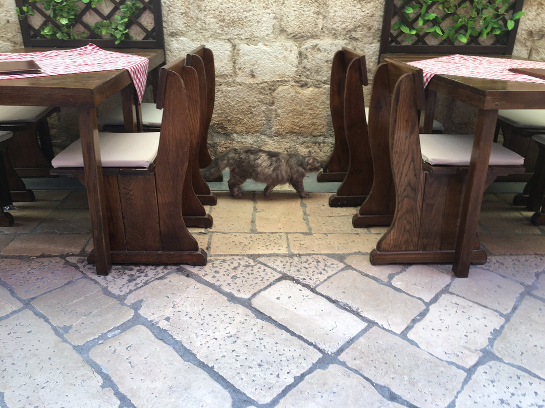 Zadar Tours & Excursions-扎达尔必去景点